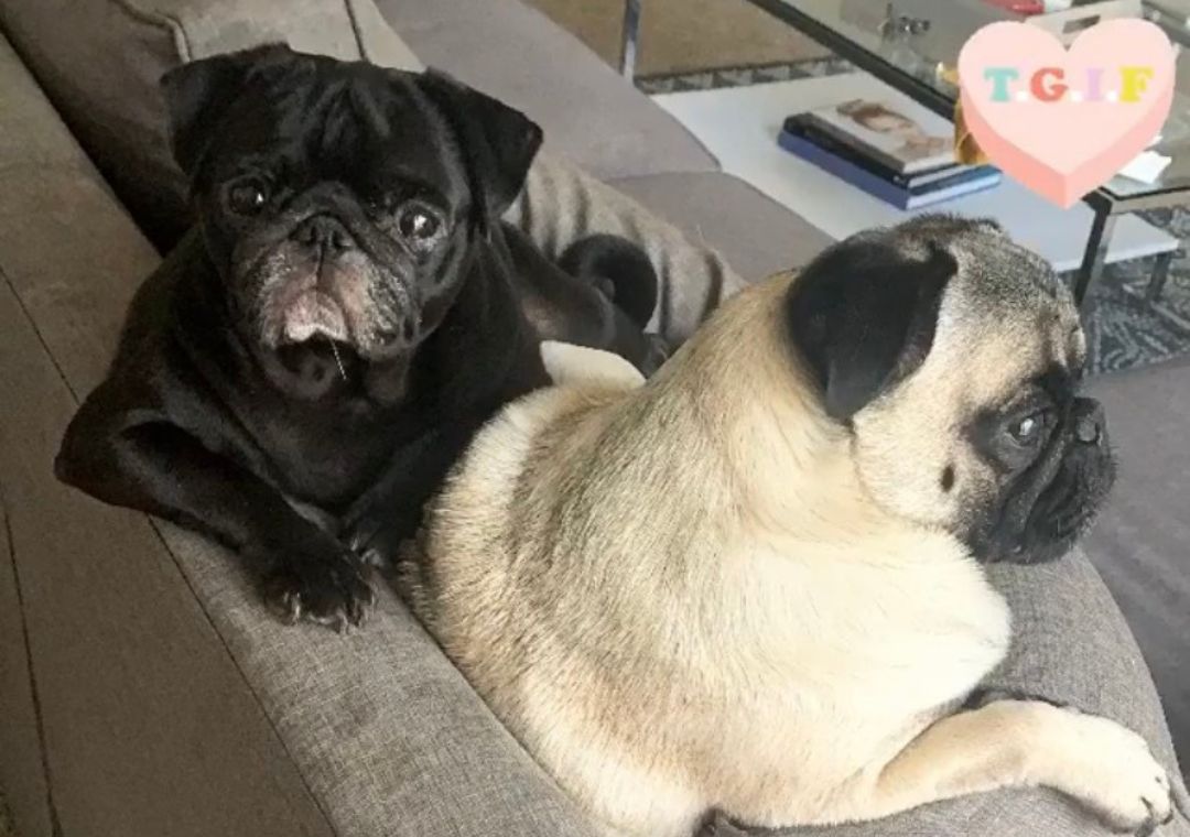 Talking Minds - Psychotherapist Site Template